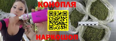 крисы Гатчина