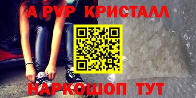 крисы Гатчина