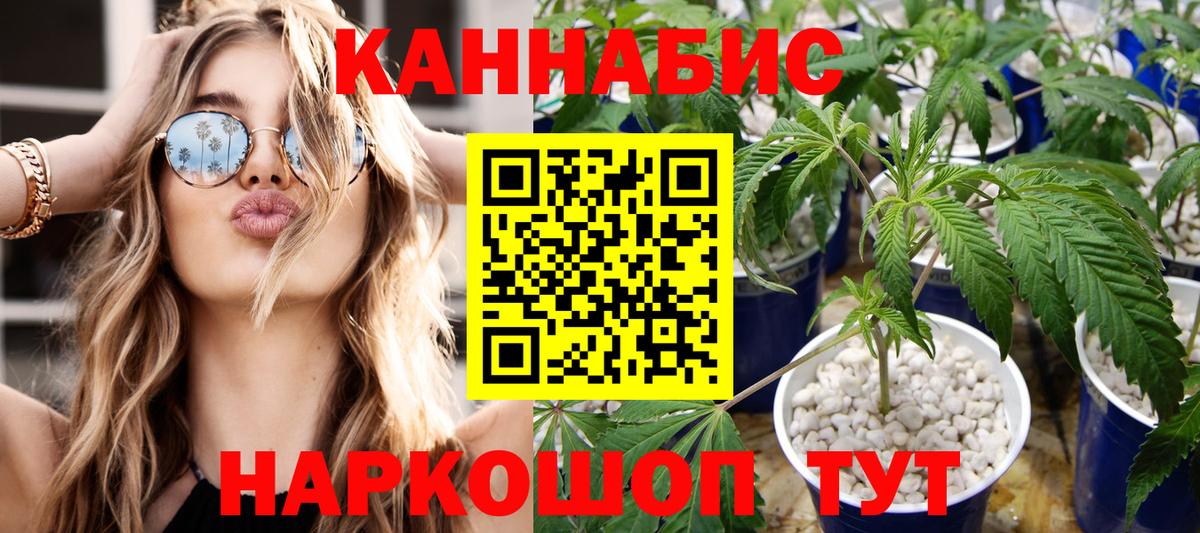 Каннабис план Миллерово